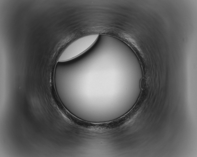X0000087350633200704200805