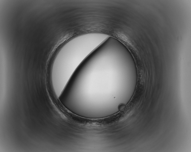 X0000087350634200704200805
