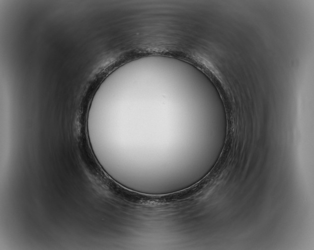 X0000087350635200704200805