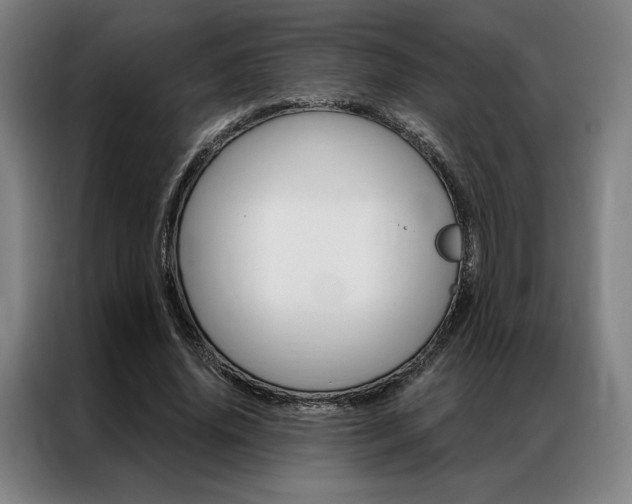 X0000087350636200704200805