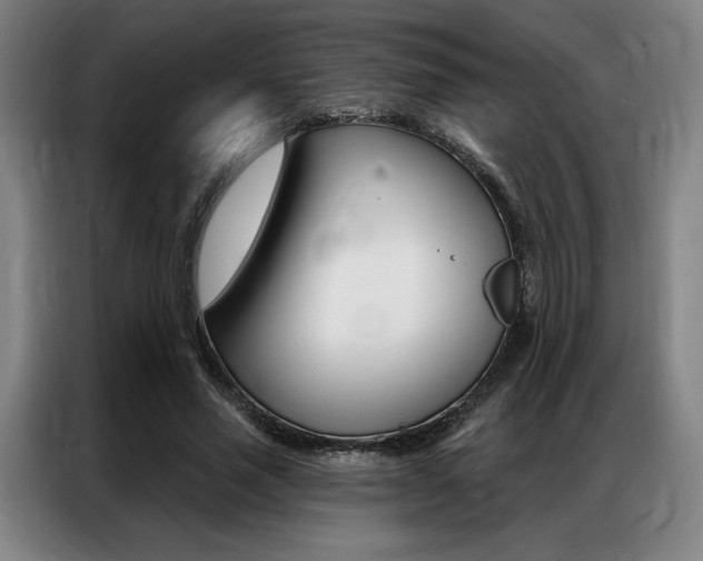 X0000087350637200704200805