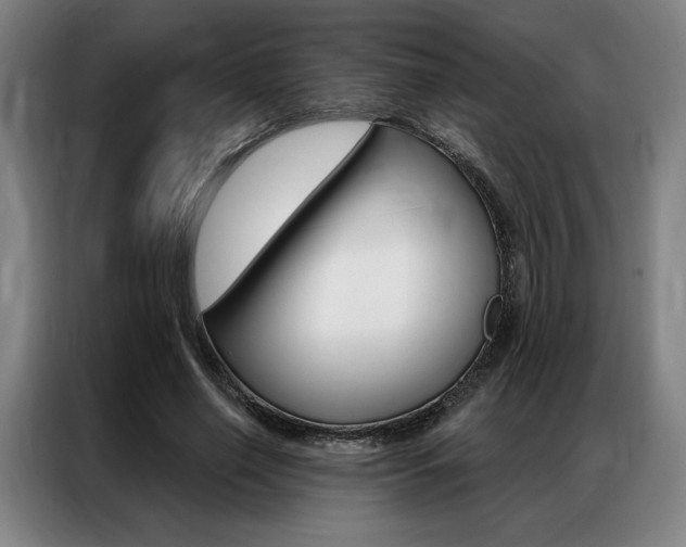 X0000087350638200704200805