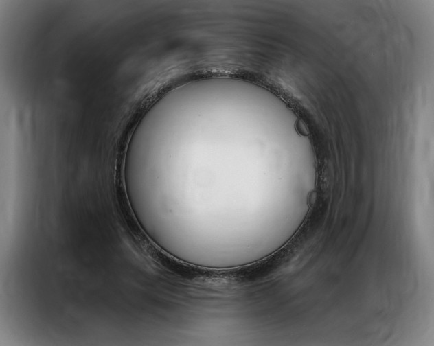 X0000087350639200704200805