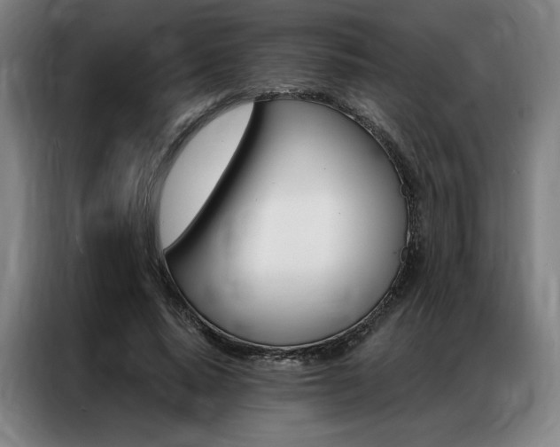 X0000087350640200704200805