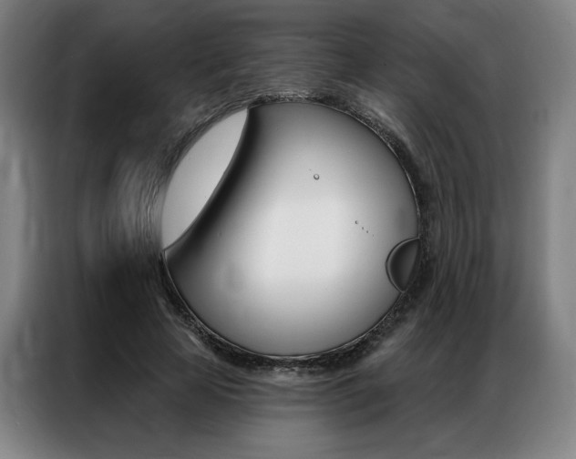 X0000087350641200704200805