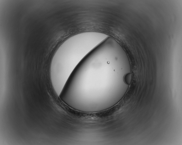 X0000087350642200704200805
