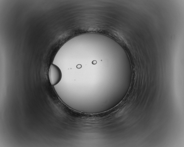 X0000087350643200704200805