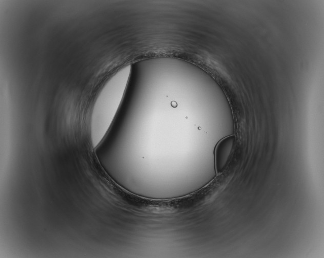 X0000087350644200704200805