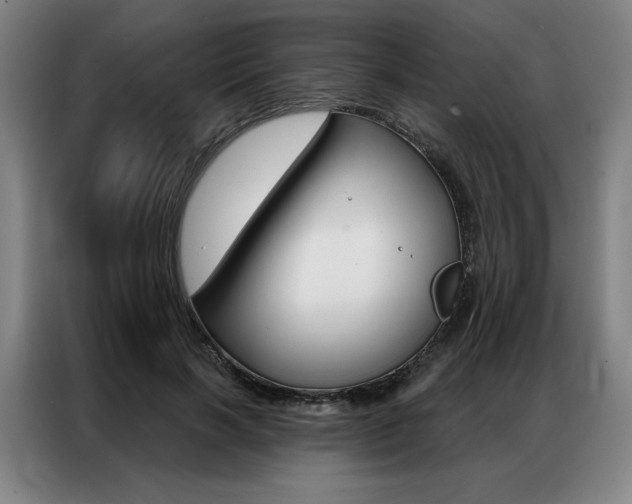 X0000087350646200704200805