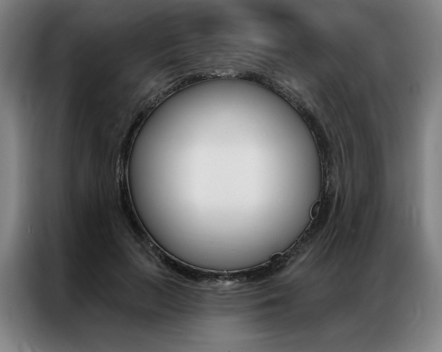 X0000087350647200704200805
