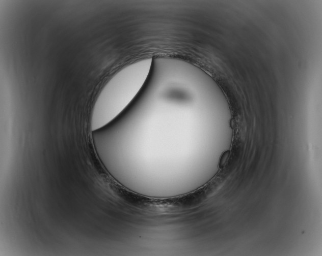 X0000087350650200704200805