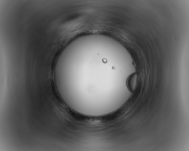X0000087350651200704200805