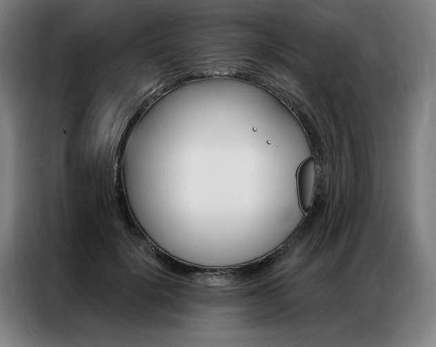 X0000087350652200704200805