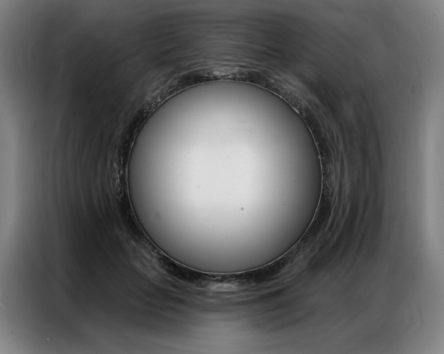 X0000087350653200704200805