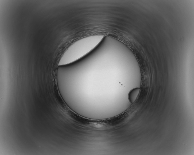 X0000087350654200704200805