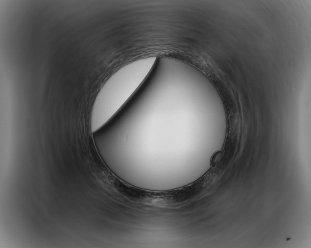 X0000087350655200704200805
