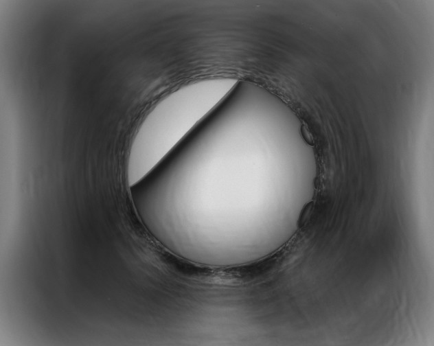 X0000087350656200704200805