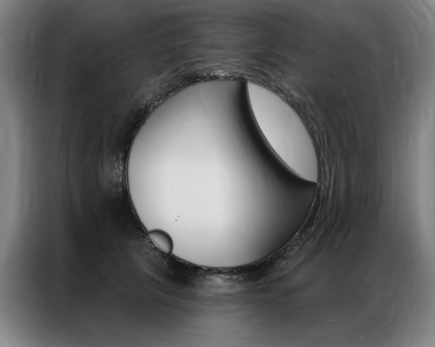 X0000087350657200704200805