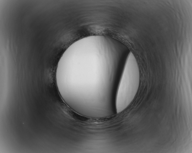 X0000087350658200704200805