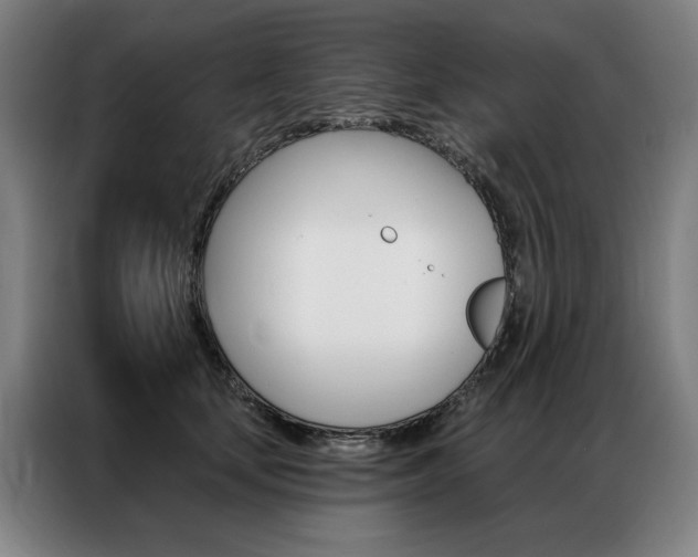 X0000087350659200704200805