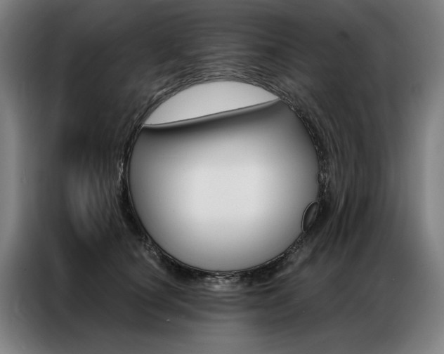 X0000087350660200704200805