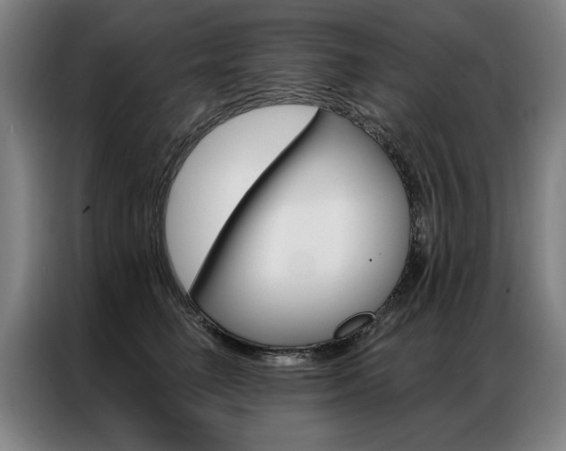 X0000087350662200704200805