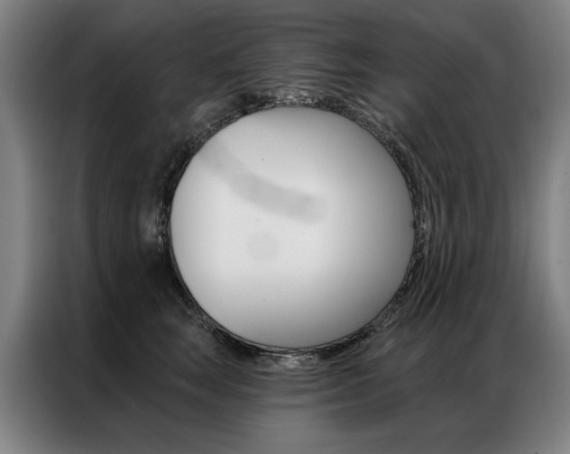 X0000087350663200704200805
