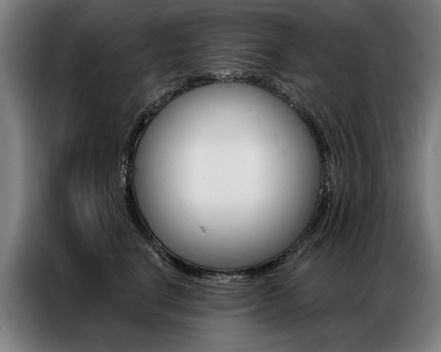 X0000087350664200704200805