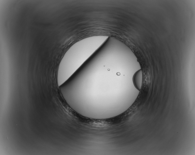 X0000087350666200704200805