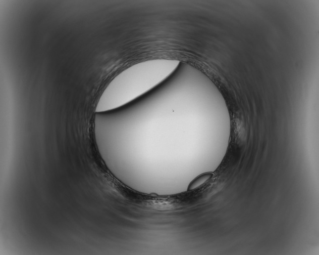 X0000087350668200704200805