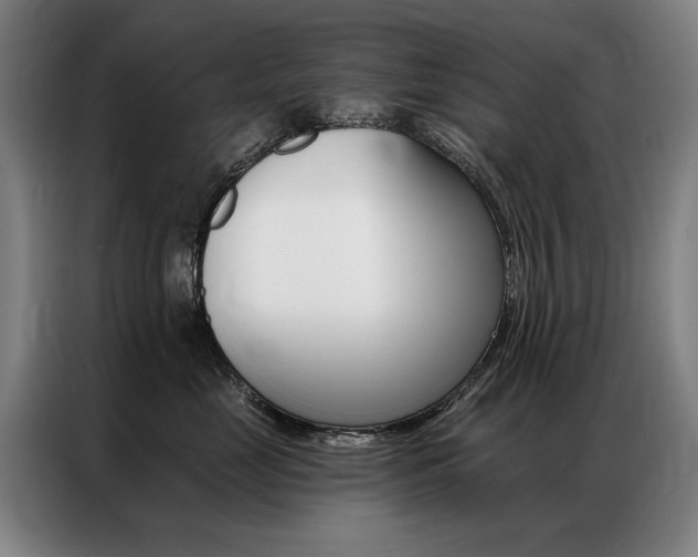 X0000087350669200704200805