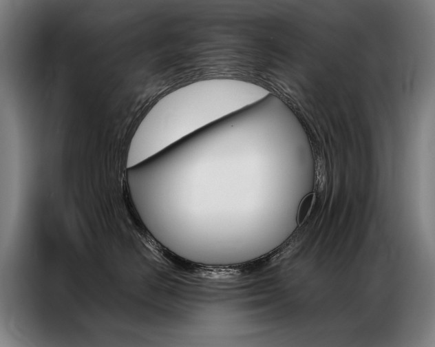 X0000087350670200704200805