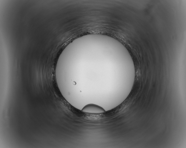 X0000087350671200704200805
