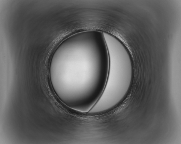 X0000087350673200704200805