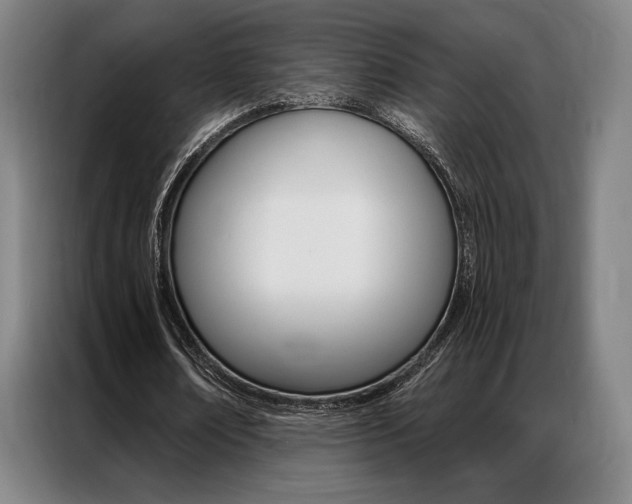 X0000087350674200704200805