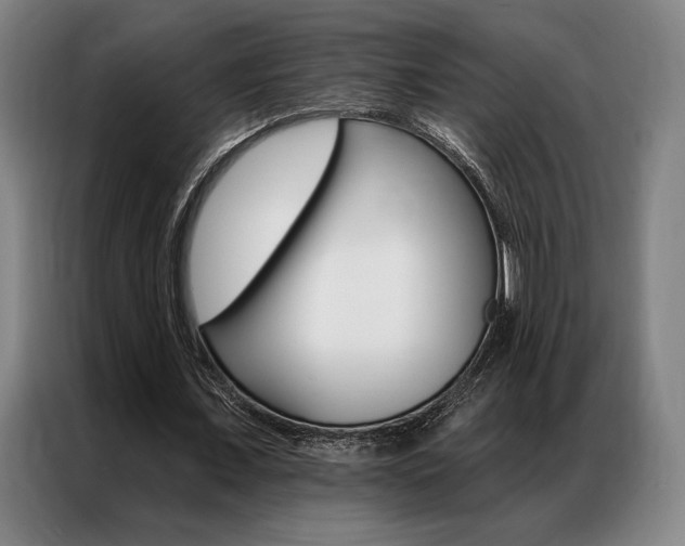 X0000087350675200704200805