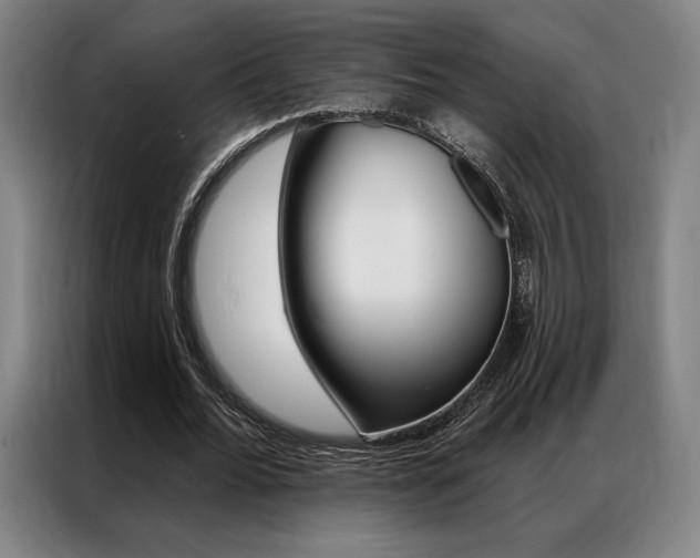 X0000087350676200704200805