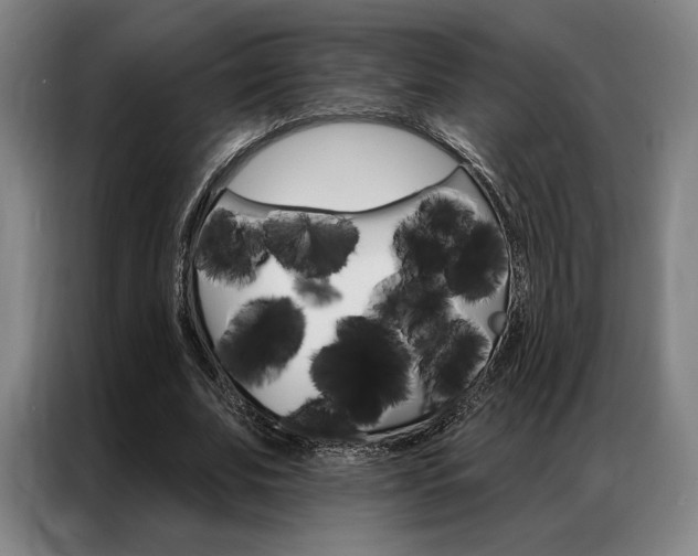 X0000087350679200704200805