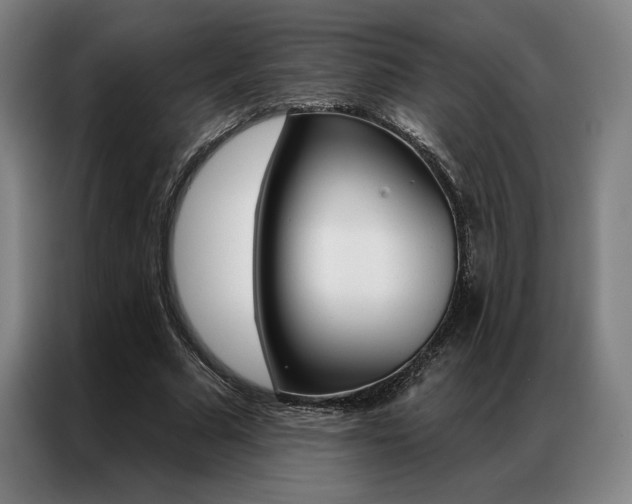 X0000087350681200704200805