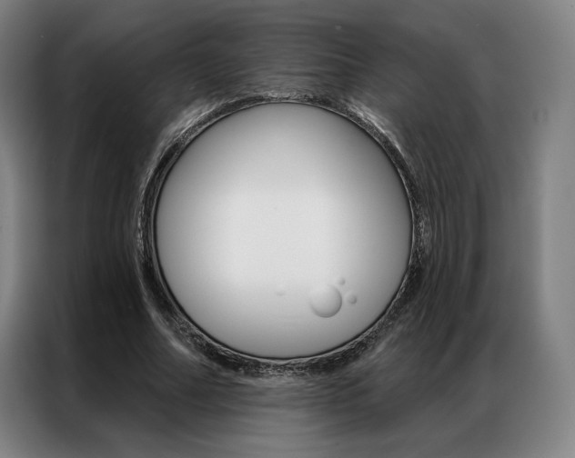 X0000087350682200704200805