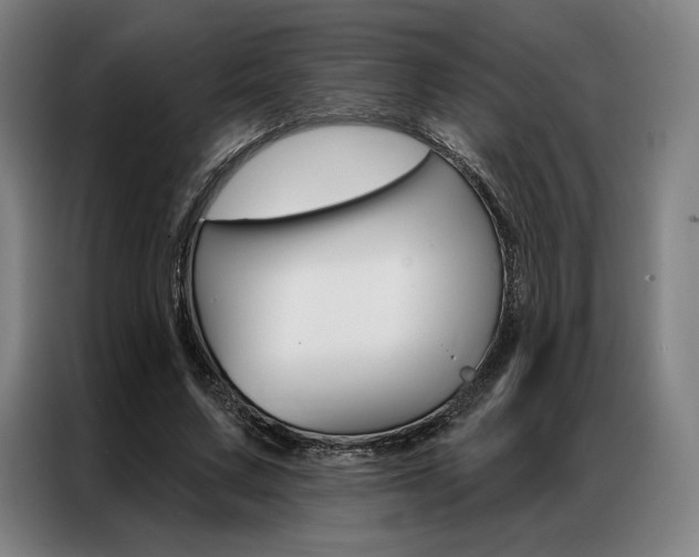 X0000087350683200704200805