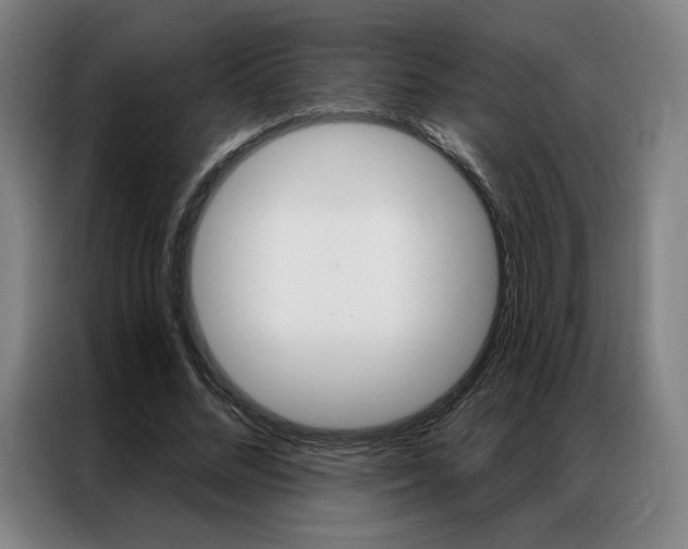 X0000087350684200704200805