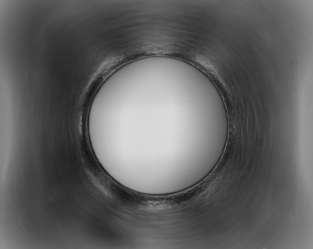 X0000087350686200704200805