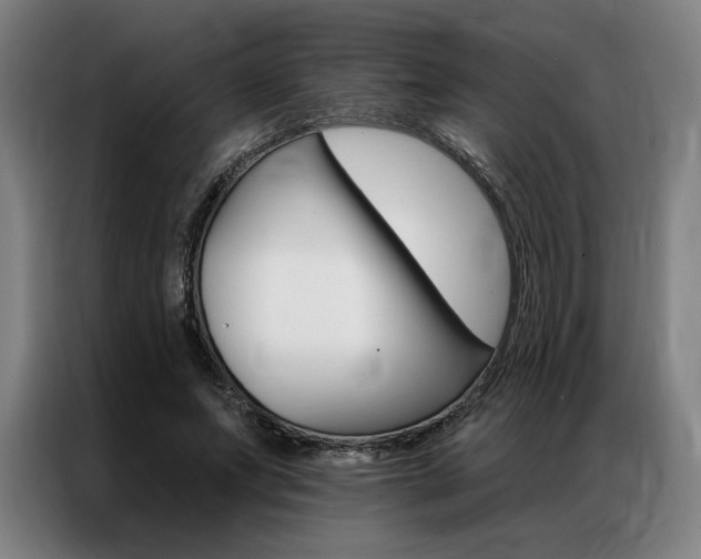 X0000087350687200704200805