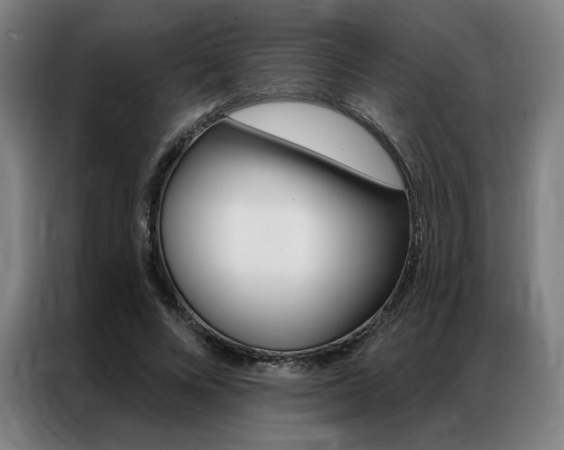 X0000087350688200704200805