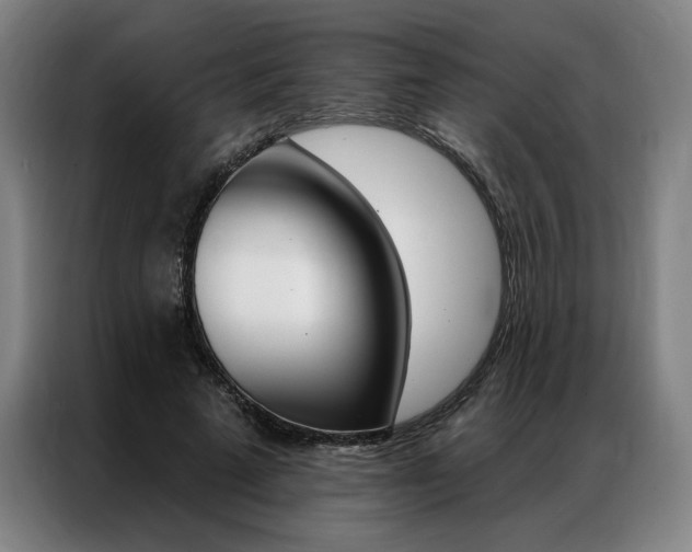 X0000087350689200704200805