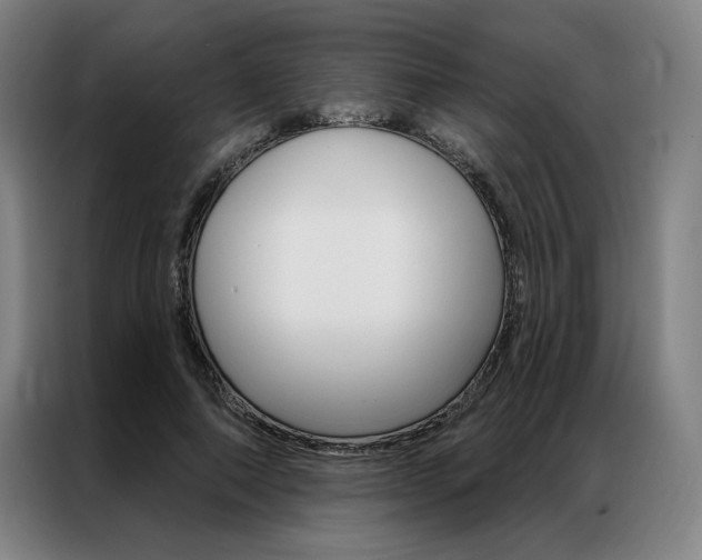 X0000087350690200704200805
