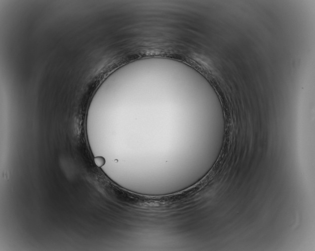 X0000087350691200704200805
