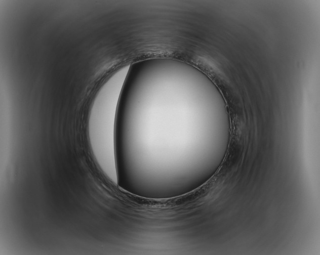 X0000087350692200704200805