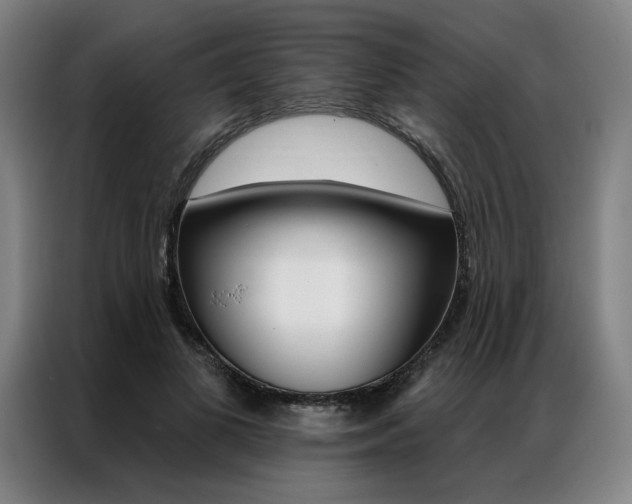 X0000087350693200704200805